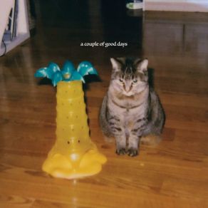 A Couple Of Good Days album cover