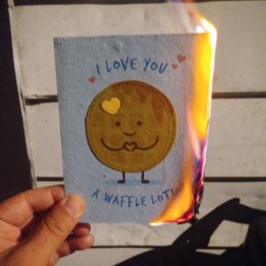 Spilled Emotions album cover