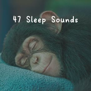 47 Sleep Sounds album cover
