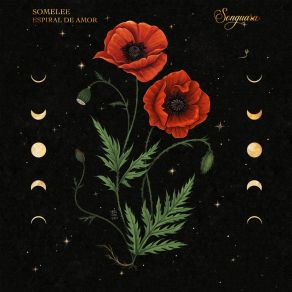 Espiral De Amor album cover