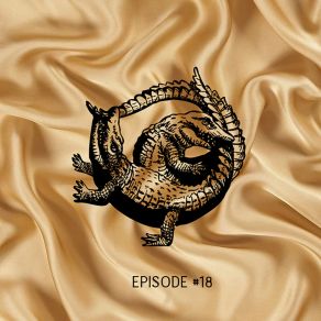 Episode # 18 album cover