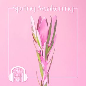 Spring Awakening album cover