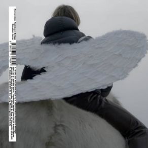 Remember Rainbow Bridge album cover
