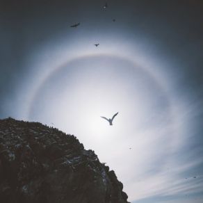 Terraforming album cover