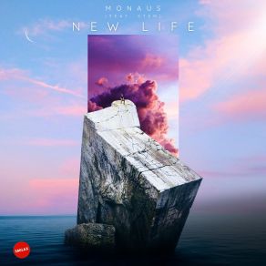 New Life album cover