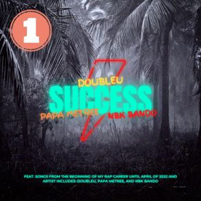Success album cover