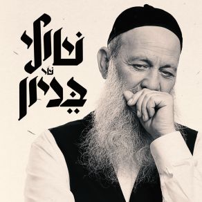 שולי שר בניון album cover