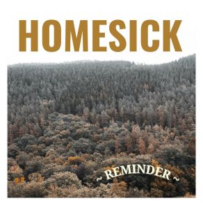 Homesick album cover