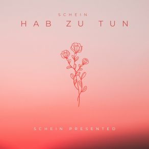 Hab Zu Tun album cover