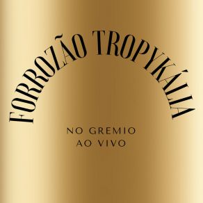 No Gremio (Ao Vivo) album cover