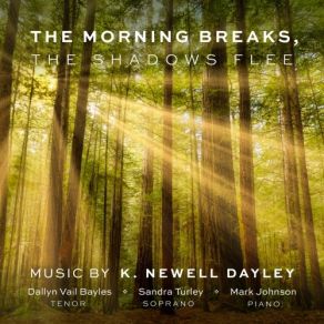 The Morning Breaks, The Shadows Flee album cover