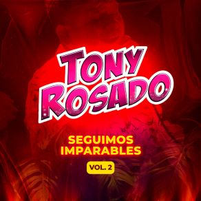 Seguimos Imparables, Vol. 2 album cover