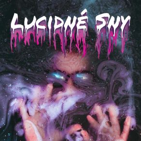 LUCIDNÉ SNY album cover