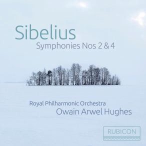 Sibelius: Symphony No. 2 In D Major, Op. 43, Symphony No. 4 In A Minor, Op. 63 album cover