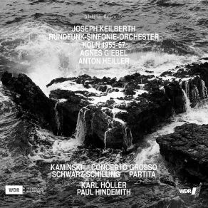 Kaminski, Schwarz-Schilling, & Höller: Orchestra Works album cover
