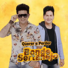 Querer E Perder album cover