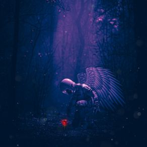 ROSE ET ANGE album cover