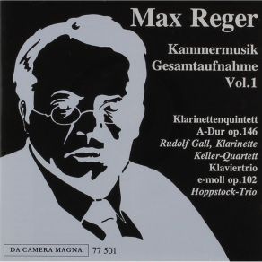 Reger - Kammermusik Gesamtaufnahme Vol. 1 CD 1-12 album cover