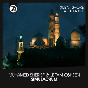 Simulacrum (Maxi-Single) album cover