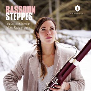 Bassoon Steppes album cover