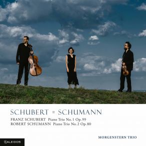 Schubert & Schumann: Piano Trios Nos. 1 & 2 album cover
