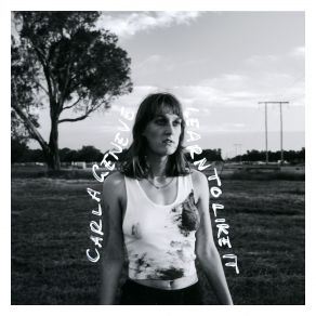 Learn To Like It album cover