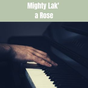 Mighty Lak' A Rose album cover
