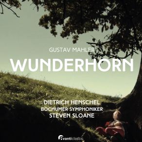 Wunderhorn (CD1) album cover