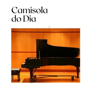 Camisola Do Dia album cover
