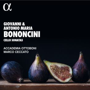 Bononcini: Cello Sonatas album cover