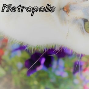 Metropolis album cover