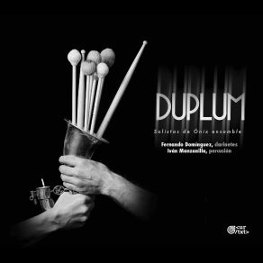 Duplum album cover