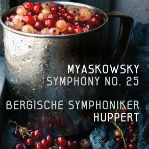 Symphony No. 25 In D-Flat Major, Op. 69 (Maxi-Single) album cover