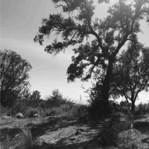 O, Sun album cover