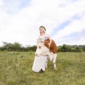 Fleisch album cover