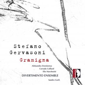 Stefano Gervasoni: Gramigna (Maxi-Single) album cover