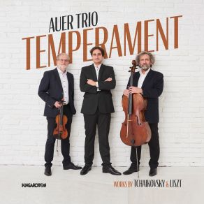 Temperament, Works By Tchaikovsky And Liszt album cover