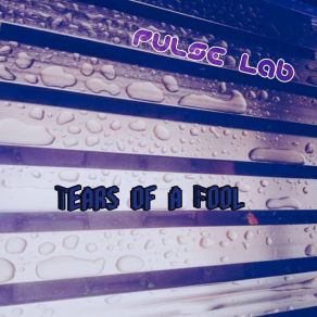 Tears Of A Fool (Maxi-Single) album cover
