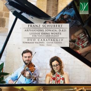 Franz Schubert: Arpeggione Sonata, D. 821 & Lieder Ohne Worte For Viola And Piano album cover