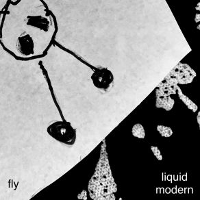 Fly (Single) album cover