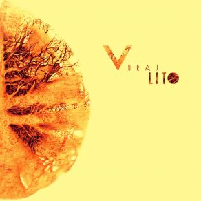 Lito album cover