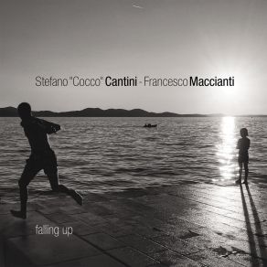 Falling Up album cover