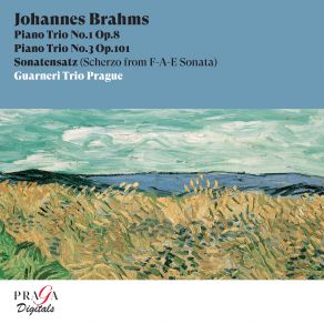 Johannes Brahms: Piano Trios Nos. 1 & 3, Sonatenzatz album cover