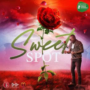 Sweet Spot album cover