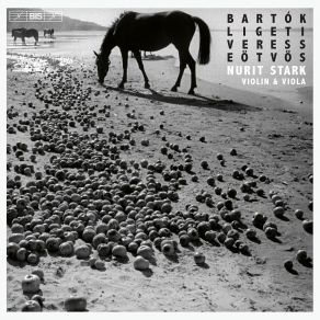 Bartók, Ligeti And Others: Works For Violin & Viola album cover