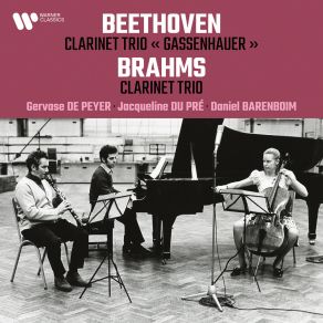 Beethoven: Clarinet Trio “Gassenhauer” - Brahms: Clarinet Trio album cover