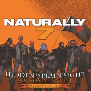 Hidden In Plain Sight (Deluxe Edition) album cover