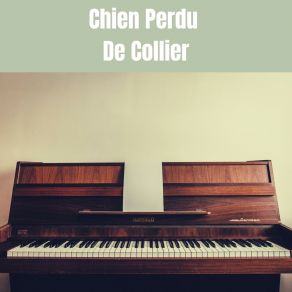 Chien Perdu De Collier album cover