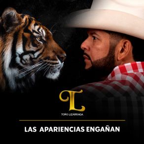 Las Apariencias Engañan album cover