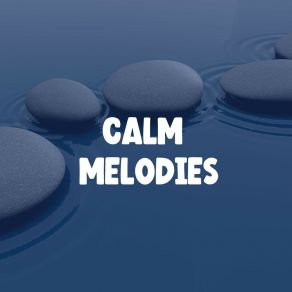Calm Melodies album cover